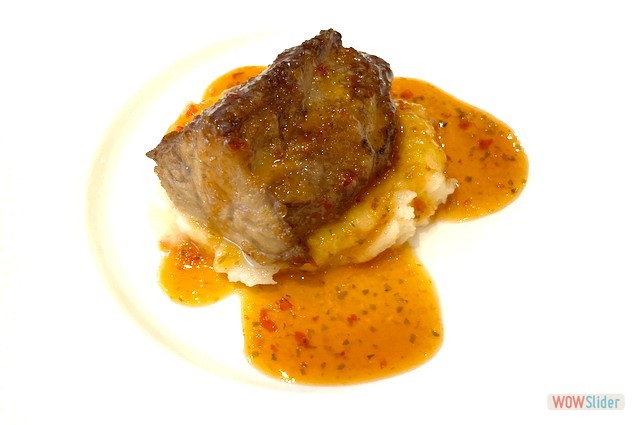 Campero Octubre 2021 9S