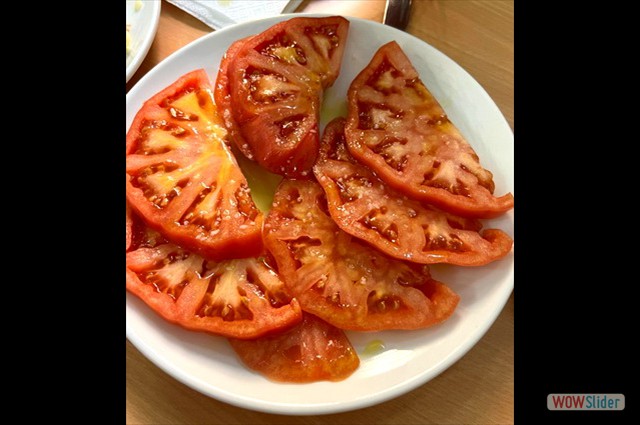 Septima Febrero 2025 2